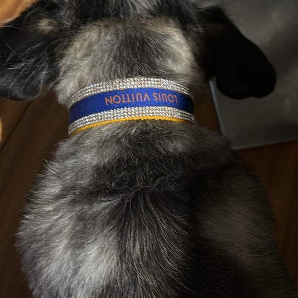 Handmade Dog Necklace golden color hardware,rhinestones designer LV ribbon. - Picture 4 of 5